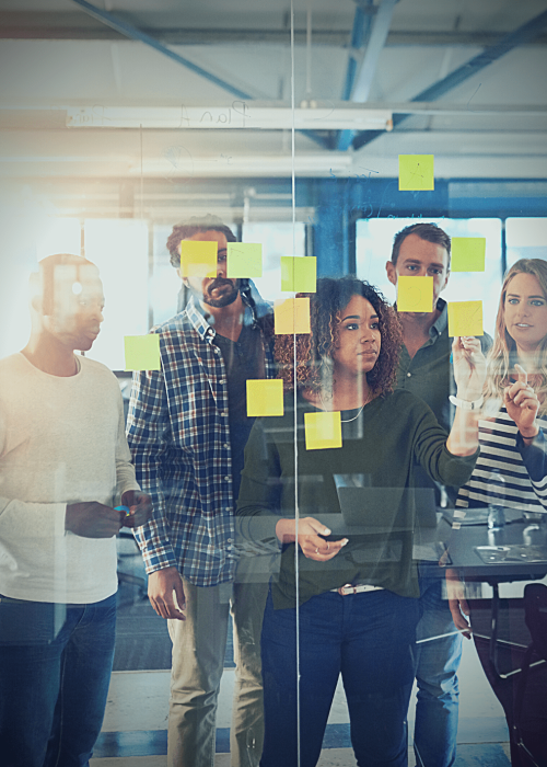 Expertise da Equipe TEMASIS